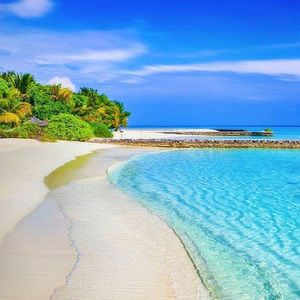 Meet your Posher, Ayushi